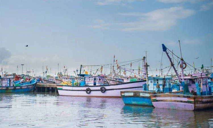 Udupi: ಮಲ್ಪೆ ಬಂದರಿನಲ್ಲಿ ಮೀನು ಕಳ್ಳರಿಗೆ ಧರ್ಮದೇಟು