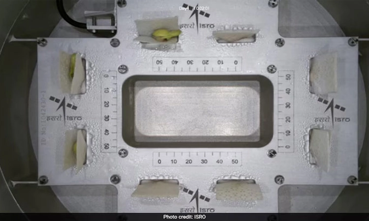 ISRO ಯಶಸ್ಸು ;ಬಾಹ್ಯಾಕಾಶದಲ್ಲಿ ಮೊದಲ ಎಲೆ ಬಿಟ್ಟ ಅಲಸಂಡೆ ಕಾಳು