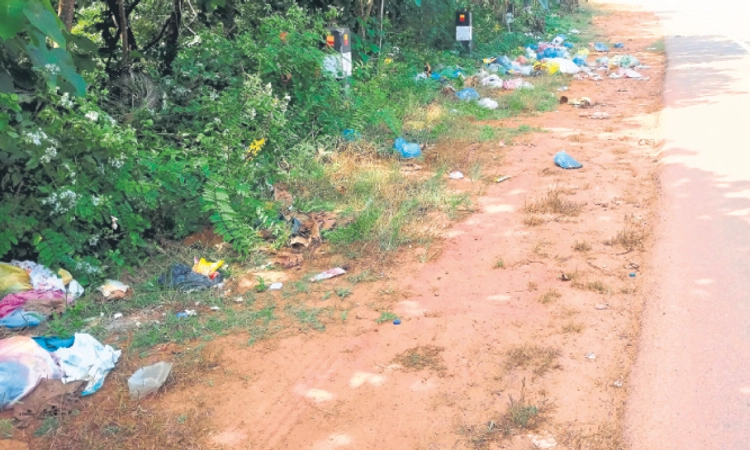 Punjalkatte: ರಾಷ್ಟ್ರೀಯ ಹೆದ್ದಾರಿ ಬದಿ ಕಸದ ರಾಶಿ; ಕ್ರಮಕ್ಕೆ ಆಗ್ರಹ