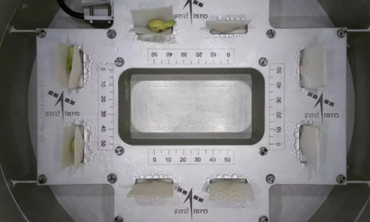 ISRO: ಅಂತರಿಕ್ಷದಲ್ಲಿ ಅಲಸಂದೆ ಬೀಜ ಮೊಳಕೆ: ಇಸ್ರೋ ಪ್ರಯೋಗಕ್ಕೆ ಯಶಸ್ಸು