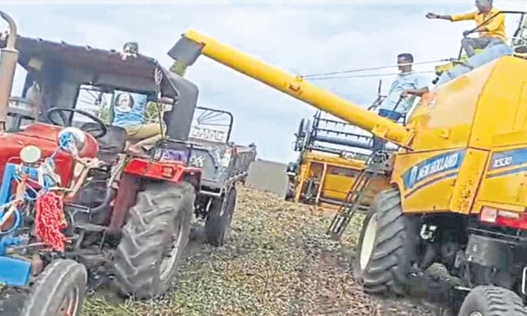 Gadag: ಹೆಸರು ಬೆಳೆದವನಿಗೆ ದರ ಸಂಕಷ್ಟ; ಬೆಲೆ&#8217;ಯೇ ಇಲ್ಲದೇ ತೊಂದರೆ