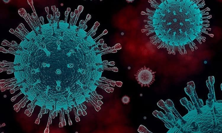 ಕೊರೊನಾ ಮುಕ್ತಕ್ಕೆ ಶ್ರಮ: ಶಾಸಕ