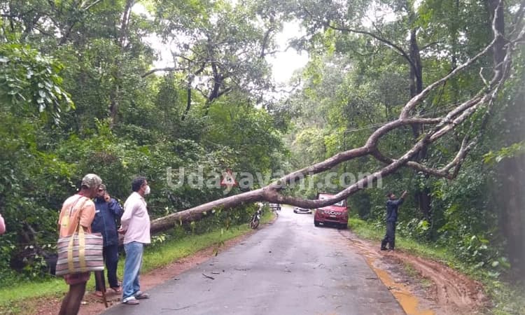 ಹೆಬ್ರಿ ಸುತ್ತಮುತ್ತ ಭಾರೀ ಗಾಳಿ ಮಳೆ, ಬೃಹತ್ ಮರಗಳು ಧರೆಗೆ ,ಅಪಾರ ಹಾನಿ
