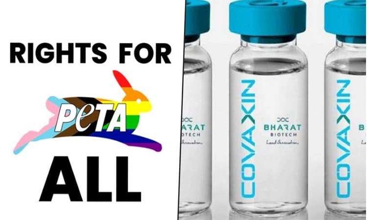 ಲಸಿಕೆ ಉತ್ಪಾದನೆಯಲ್ಲಿ ನವಜಾತ ಕರುಗಳ ಸೀರಮ್ ಬಳಸದಂತೆ ನಿರ್ದೇಶಿಸಿ : ಡಿಸಿಜಿಐ ಗೆ ಪೆಟಾ ಪತ್ರ