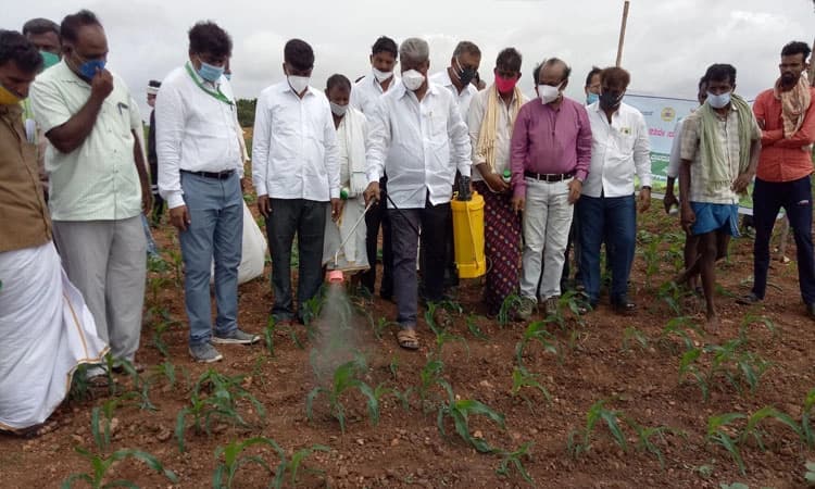 ನ್ಯಾನೋ ಯೂರಿಯಾ ಪರಿಸರ ಸ್ನೇಹಿ