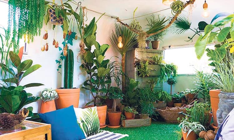 ಗಿಡ ನೆಡಲು ನೆಲಕ್ಕಿಂತ ಮನಸ್ಸು ಮುಖ್ಯ