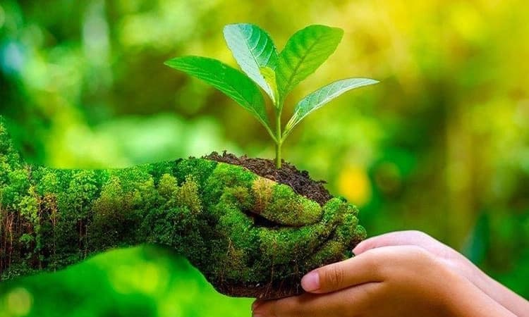 ತಿಪಟೂರು: ವಿಶ್ವ ಪರಿಸರ ದಿನಾಚರಣೆ