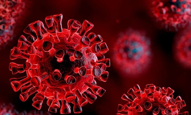 ಬೀದಿ ಬದಿ ವ್ಯಾಪಾರಿಗಳಿಗೆ ಆಹಾರ ಕಿಟ್‌