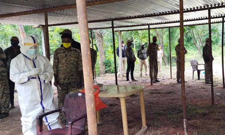 ಕಾಡಾನೆ ಸೆರೆಗೆ ಕಾರ್ಯಾಚರಣೆ