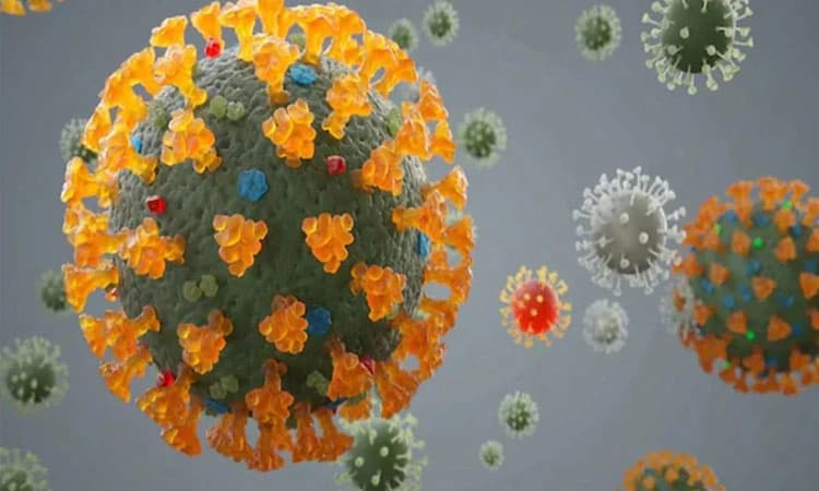 ಡೆಲ್ಟಾ ರೂಪಾಂತರಿ ಸೋಂಕಿನಿಂದ ರಕ್ತ ಹೆಪ್ಪುಗಟ್ಟುವಿಕೆಯ ಲಕ್ಷಣಗಳು ಪತ್ತೆ : ಅಧ್ಯಯನ