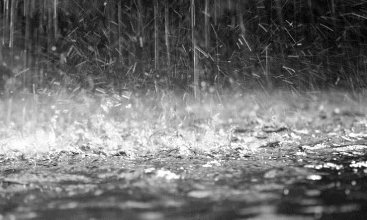 ಮಳೆ ಎಂಬ ಪ್ರಕೃತಿಯ ಅತ್ಯುನ್ನತ ಕೊಡುಗೆ