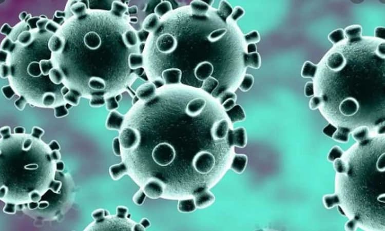 ಭಾರತದಲ್ಲಿ ಕೋವಿಡ್ 2ನೇ ಅಲೆಗೆ “ಡೆಲ್ಟಾ ರೂಪಾಂತರ” ವೈರಸ್ ಕಾರಣ: ಅಧ್ಯಯನ