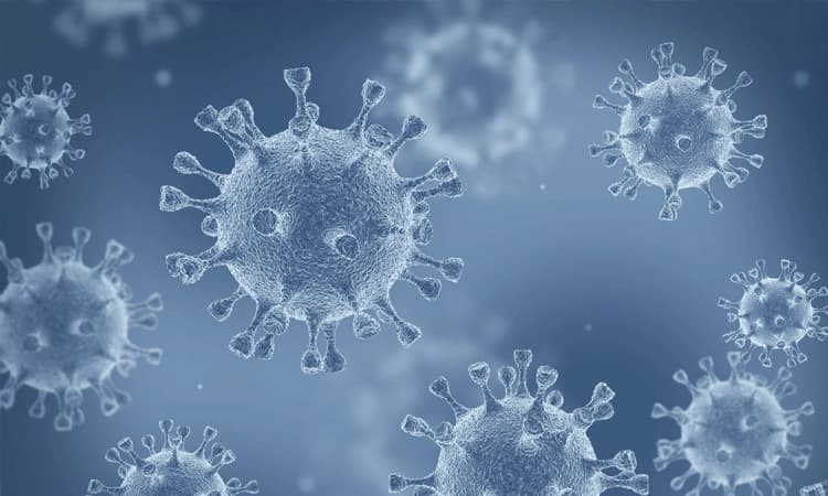 ಕೊರೊನೇತರರ ನೋವು ಕೇಳುವವರಾರು?