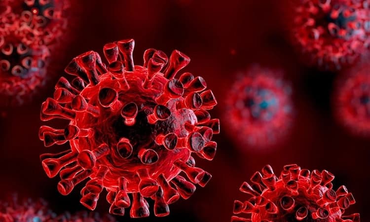 ಕೊರೊನಾ ವೈರಾಣುಗಳಿಗೆ ಪೂರ್ವಜರಿಲ್ಲ! ಬ್ರಿಟನ್‌, ನಾರ್ವೆ ಸಂಶೋಧಕರ ವಾದ