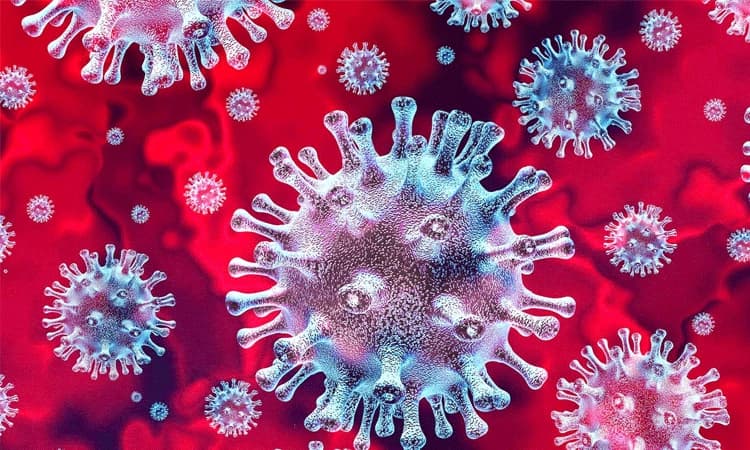 ಕೊರೊನಾ: ಸಹಾಯಕ್ಕಾಗಿ ಜ್ಯೋತಿ ಗಣೇಶ್‌ ಮನವಿ