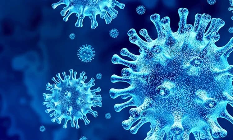 ರಾಜಕೀಯ ಬಣಗಳ ಪೈಪೋಟಿ: ಆಸ್ಪತ್ರೆ ಸೇವೆಗೆ ದಕ್ಕಿದ 6 ಆ್ಯಂಬುಲೆನ್ಸ್‌