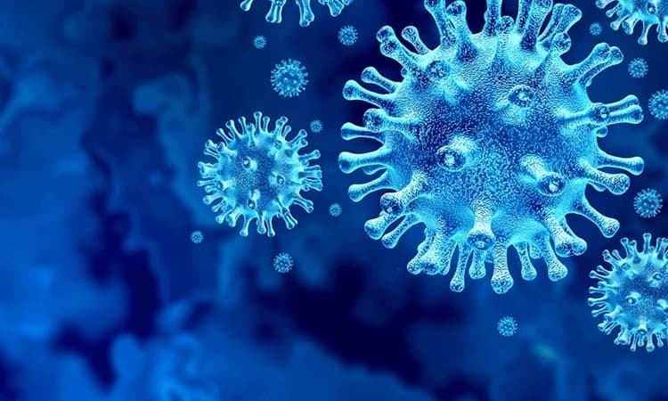 ಕೋವಿಡ್‌ ನಿಯಂತ್ರಿಸುವಲ್ಲಿ  ವಿಫ‌ಲ: ಚಲುವ ರಾಯಸ್ವಾಮಿ