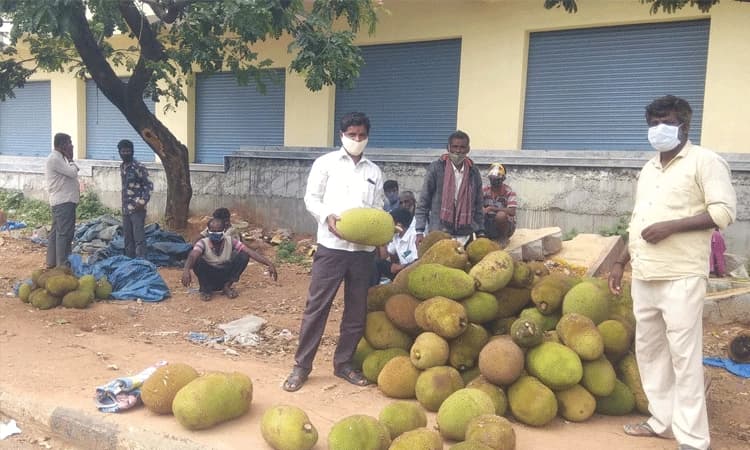 ಹಲಸನ್ನು ಕಡಿಮೆ ಬೆಲೆಗೆ ಮಾರುವ ಸ್ಥಿತಿ
