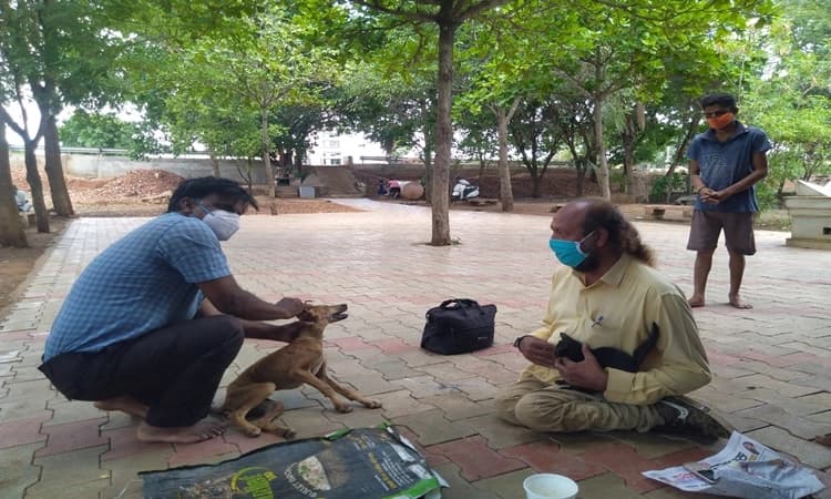 ಅಪಘಾತಕ್ಕೆ ಸಿಲುಕಿದ್ದ ಬೀದಿ ನಾಯಿ ಮರಿಗೆ ಚಿಕಿತ್ಸೆ
