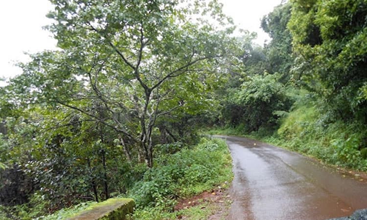 ಮಳೆಗಾಲದ ಅನಾಹುತ ಎದುರಿಸಲು ಸಜ್ಜಾ ಗಿ