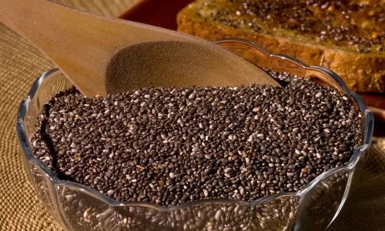 Chia seeds: ಗರ್ಭಿಣಿಯರ ಆರೋಗ್ಯಕ್ಕೆ ಅತ್ಯುತ್ತಮ-ಚಿಯಾ ಬೀಜಗಳು