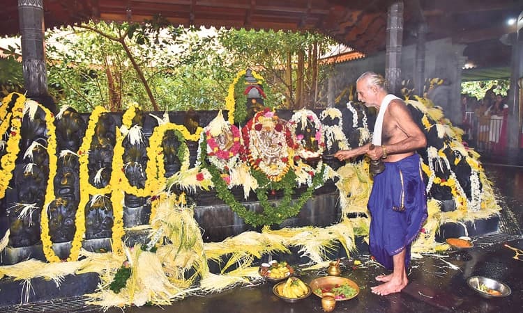 Festival; ಕರಾವಳಿಯಾದ್ಯಂತ ನಾಗರ ಪಂಚಮಿ ಹಬ್ಬದ ಸಡಗರ, ಸಂಭ್ರಮ