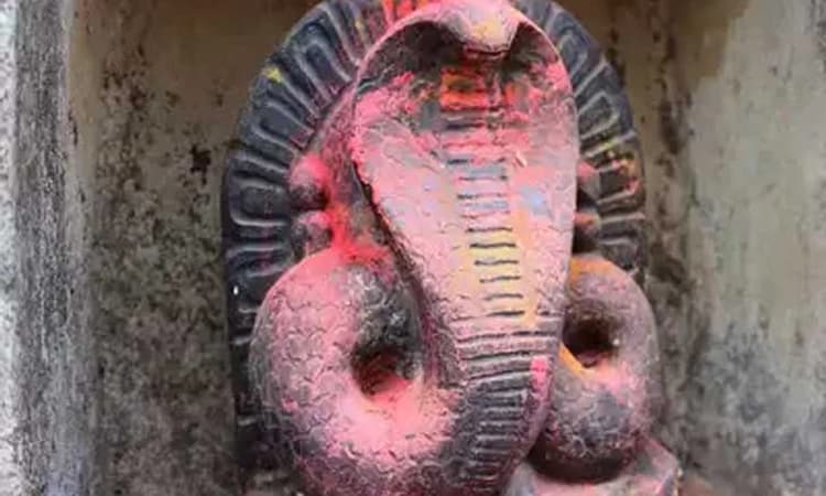 Naga Panchami 2024;ನಾಗರ ಪಂಚಮಿ ಸ್ವಚ್ಛ ಪಂಚಮಿ-ದಿಟ ನಾಗನಿಗೆ ನಮೋ…