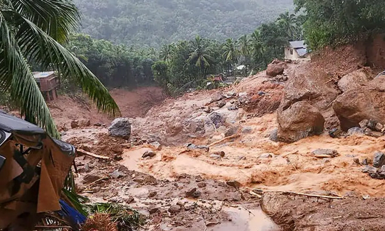 WayanadLandslide; ಮನೆಯವರ ಪ್ರಾಣ ಕಾಪಾಡಿ ಪ್ರವಾಹದಲ್ಲಿ ಕೊಚ್ಚಿಹೋದ ಹಸು…!