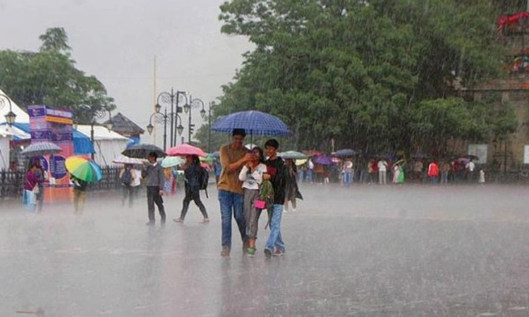 Heavy Rain ಜು.31 ರಂದು ತೀರ್ಥಹಳ್ಳಿ ತಾಲೂಕಿನಾದ್ಯಂತ ಶಾಲಾ ಕಾಲೇಜಿಗೆ ರಜೆ ಘೋಷಣೆ!