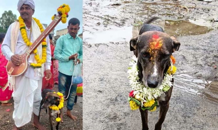 Belagavi: ಮಾಲೀಕನನ್ನು ಹುಡುಕಿಕೊಂಡು 200 ಕಿ.ಮೀ ಕ್ರಮಿಸಿದ ನಾಯಿ!