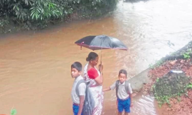 Siddapura: ನಮಗೆ ಕಾಲು ಸಂಕ ಬೇಕು: ಮಕ್ಕಳು ಹಳ್ಳ ದಾಟುವುದೇ ಡೇಂಜರ್‌!