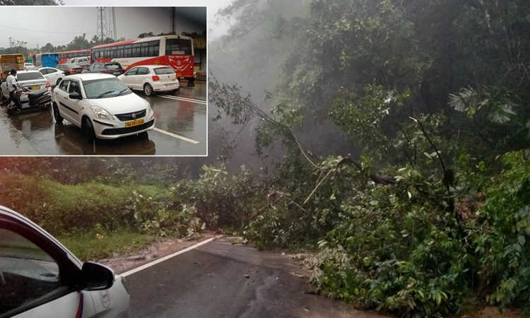 ಭಾರಿ ಮಳೆಗೆ ಚಾರ್ಮಾಡಿ ಘಾಟಿಯಲ್ಲಿ ರಸ್ತೆಗುರುಳಿದ ಮರ… ಮೂಡಿಗೆರೆ-ಮಂಗಳೂರು ಮಾರ್ಗ ಬಂದ್