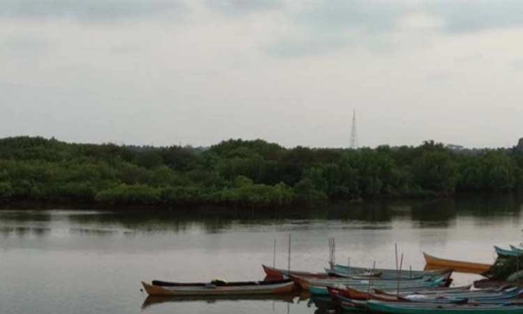 Kundapura: ಪಂಚ ಗಂಗಾವಳಿ ಹೂಳೆತ್ತಲು ಅನುದಾನಕ್ಕೆ ಸಚಿವರಿಗೆ ಭಂಡಾರಿ ಮನವಿ