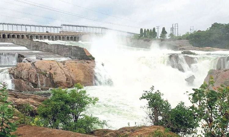 Cauvery River ಬರದ ಛಾಯೆ ನೀಗಿಸಿ ಕಂಗೊಳಿಸುತ್ತಿರುವ ತಾಯಿ ಕಾವೇರಿ