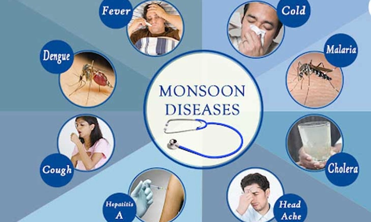 Monsoon Diseases Part 2:ಮಾನ್ಸೂನ್‌ ರೋಗಗಳು ಮತ್ತು ತಡೆಗಟ್ಟುವಿಕೆ ಸಲಹೆಗಳು