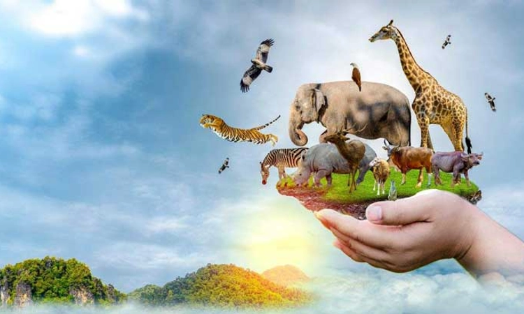 Nature:ವಿಶ್ವ ಪ್ರಕೃತಿ ಸಂರಕ್ಷಣ ದಿನ: ಪ್ರಕೃತಿ ಹೇಳುತ್ತಿದೆ…”ನೀ ನನಗಿದ್ದರೆ ನಾ ನಿನಗೆ ‘