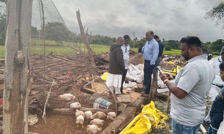 Shimoga; ಮಳೆಯಿಂದ ಕುಸಿದು ಬಿದ್ದ ಕೋಳಿ ಫಾರಂ; ಸಾವಿರಾರು ಕೋಳಿಗಳ ಸಾವು