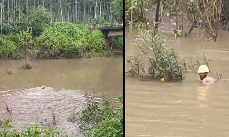 N.R.Pura; ಸೊಂಟಕ್ಕೆ ವೈರ್ ಕಟ್ಟಿಕೊಂಡು ಈಜಿ ಕೆಲಸ ಮಾಡಿದ ಲೈನ್ ಮ್ಯಾನ್; ವಿಡಿಯೋ ವೈರಲ್