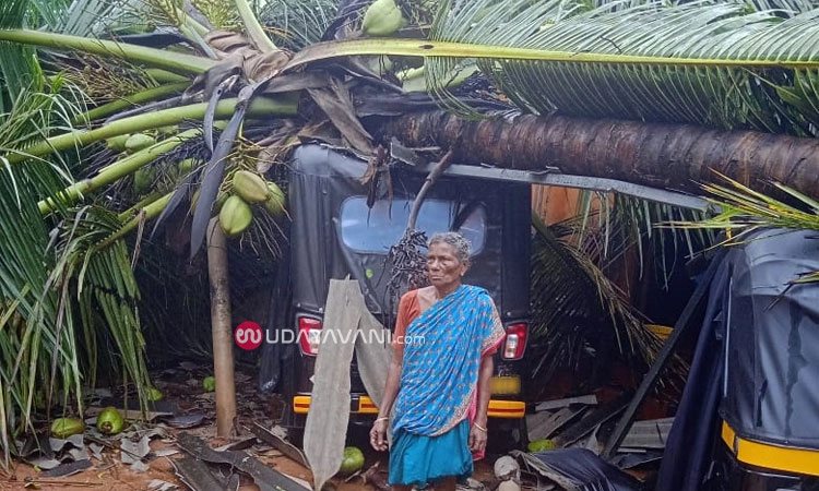 Hebri: ರಿಕ್ಷಾದ ಮೇಲೆ ಬಿದ್ದ ತೆಂಗಿನ ಮರ; ಅಪಾರ ನಷ್ಟ