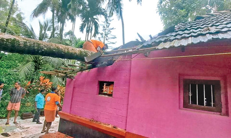Sullia ತೆಂಗಿನ ಮರ ಬಿದ್ದು ಮನೆಗೆ ಹಾನಿ