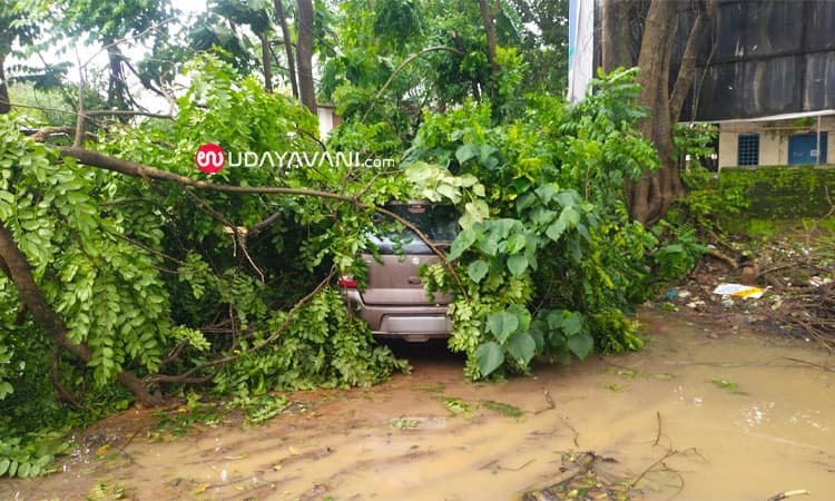 BC Road: ಬಿರುಗಾಳಿಯ ರಭಸಕ್ಕೆ ಹಲವೆಡೆ ಹಾನಿ