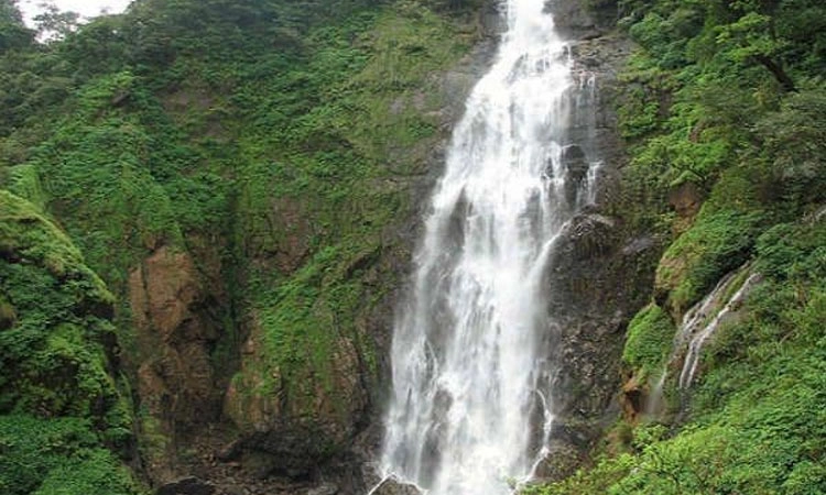 Shivamogga: ಉಚಿತ ಪ್ರವಾಸ ಆಮಿಷವೊಡ್ಡಿ ವಂಚನೆ ಪತ್ತೆ