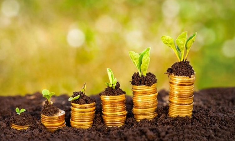 Budget 2024; ಕೃಷಿಗೆ ಡಿಜಿಟಲ್‌ ಸಾರ್ವಜನಿಕ ಮೂಲಸೌಕರ್ಯ