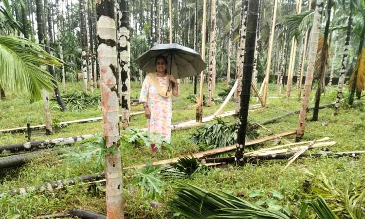 Heavy Rain: ಕರಾವಳಿಯಾದ್ಯಂತ ಉತ್ತಮ ಮಳೆ