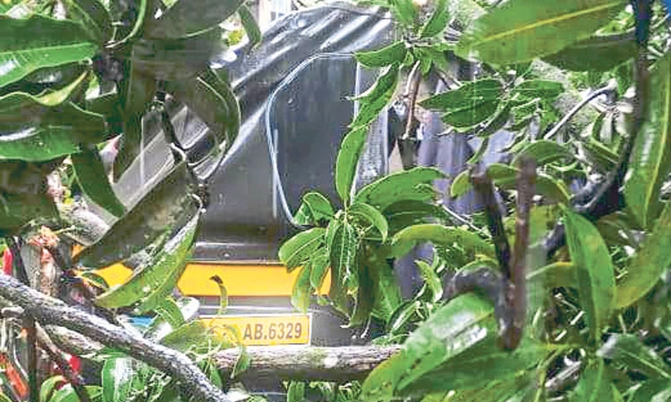 Karkala: ಭಾರೀ ಗಾಳಿ-ಮಳೆಯಿಂದ ಹಲವೆಡೆ ಹಾನಿ