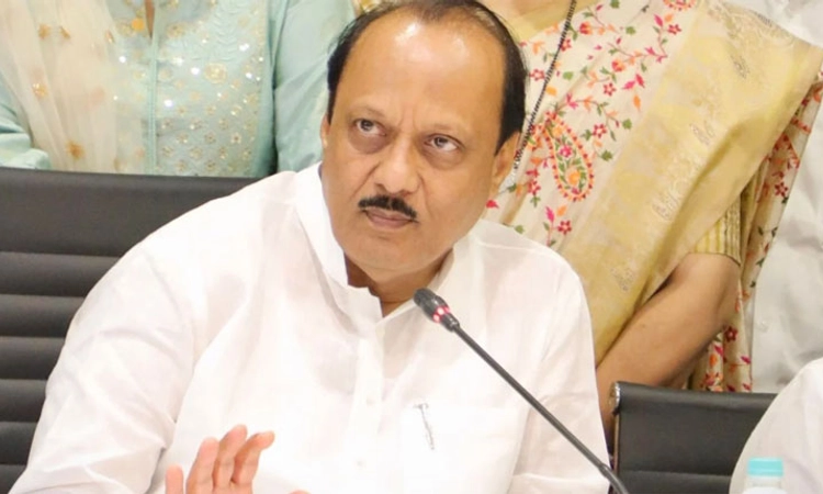 Maharashtra ಸ್ಥಳೀಯ ಸಂಸ್ಥೆ ಎಲೆಕ್ಷನ್‌ನಲ್ಲಿ ಸ್ವತಂತ್ರ ಸ್ಪರ್ಧೆ: ಅಜಿತ್‌ ಪವಾರ್‌