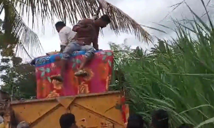 Escape; ಸೆರೆಸಿಕ್ಕ ಚಿರತೆ ತಪ್ಪಿಸಿಕೊಂಡಿತು!!: ಮತ್ತೆ ಬೋನಿಗೆ