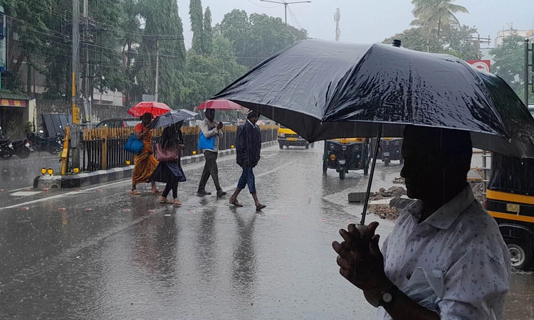 Rain Alert: ಕರಾವಳಿ ಜಿಲ್ಲೆಗಳಲ್ಲಿ ಜು.25ರವರೆಗೂ ವ್ಯಾಪಕ ಮಳೆ 