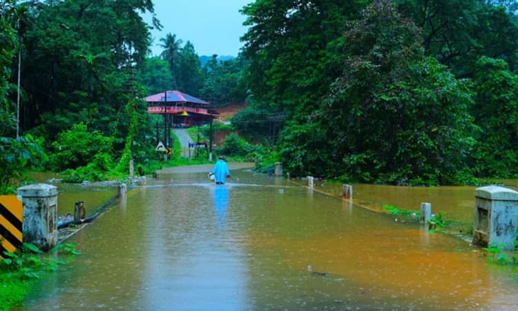 Heavy Rains ಸುಬ್ರಹ್ಮಣ್ಯ: ಹೆದ್ದಾರಿಗೆ ನುಗ್ಗಿದ ಕುಮಾರಧಾರೆ