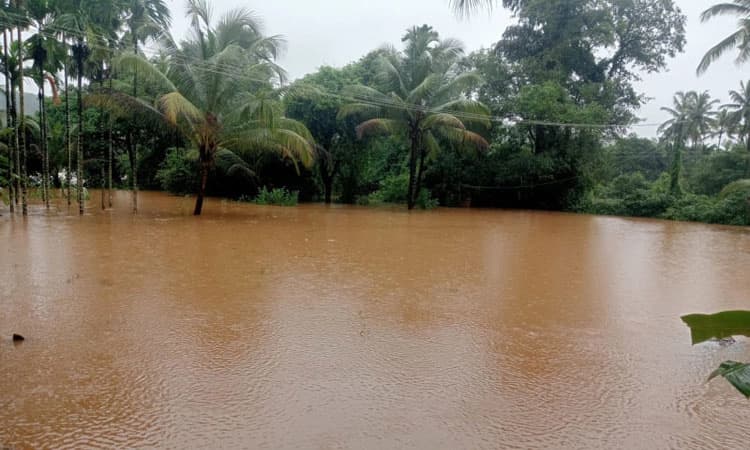 Heavy Rains ದಕ್ಷಿಣ ಕನ್ನಡದಲ್ಲಿ ಮುಂದುವರಿದ ಮಳೆ; ಕೆಲವೆಡೆ ಹಾನಿ